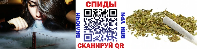 сколько стоит  Магас  площадка какой сайт  БУТИРАТ Butirat 