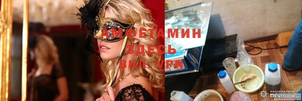 крисы Баксан