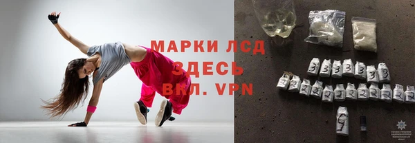 крисы Баксан